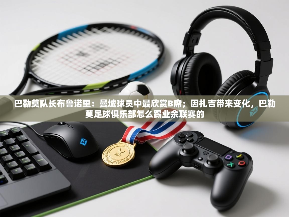 巴勒莫队长布鲁诺里:曼城球员中最欣赏B席;因扎吉带来变化,巴勒莫足球俱乐部怎么踢业余联赛的 第2张