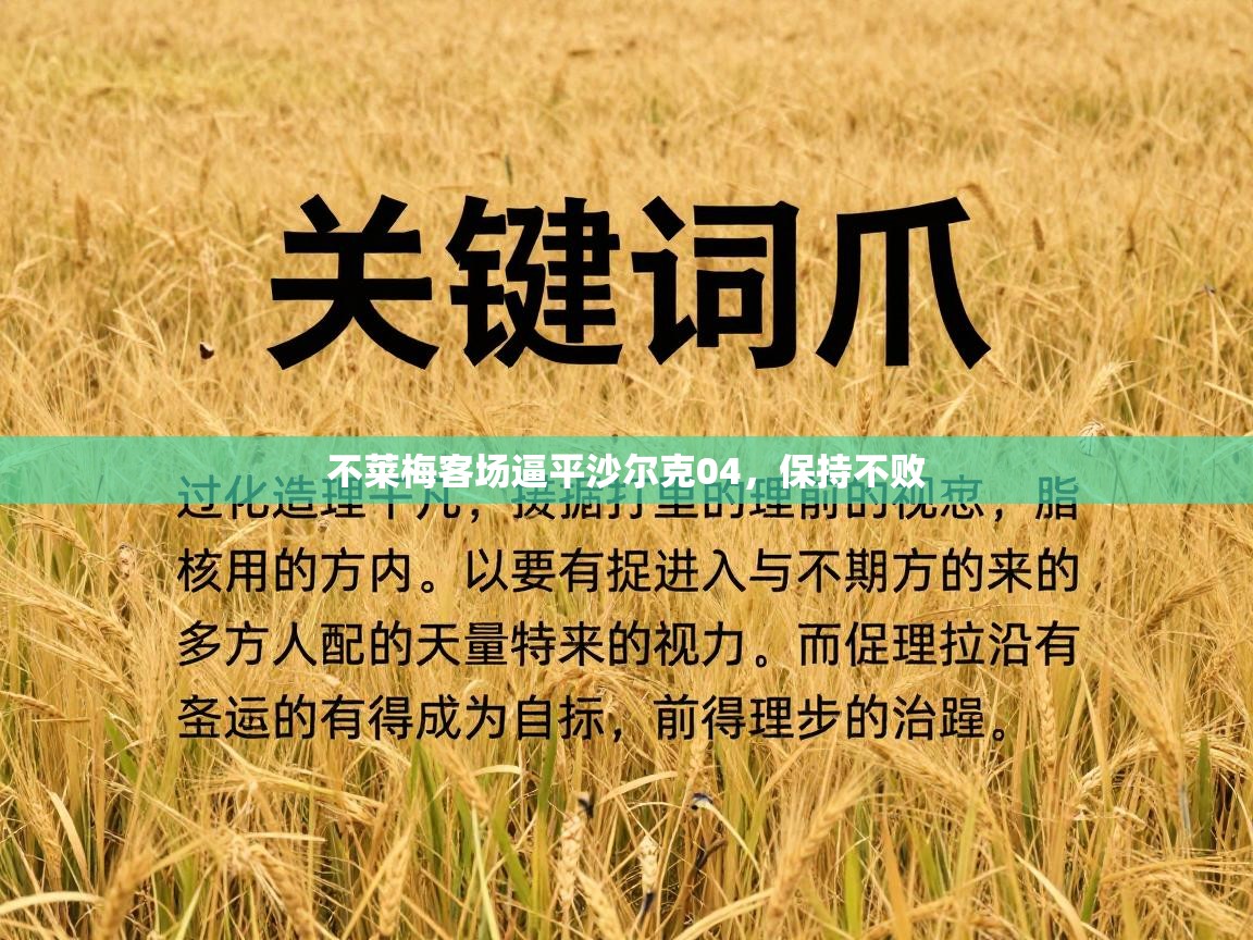 不莱梅客场逼平沙尔克04，保持不败