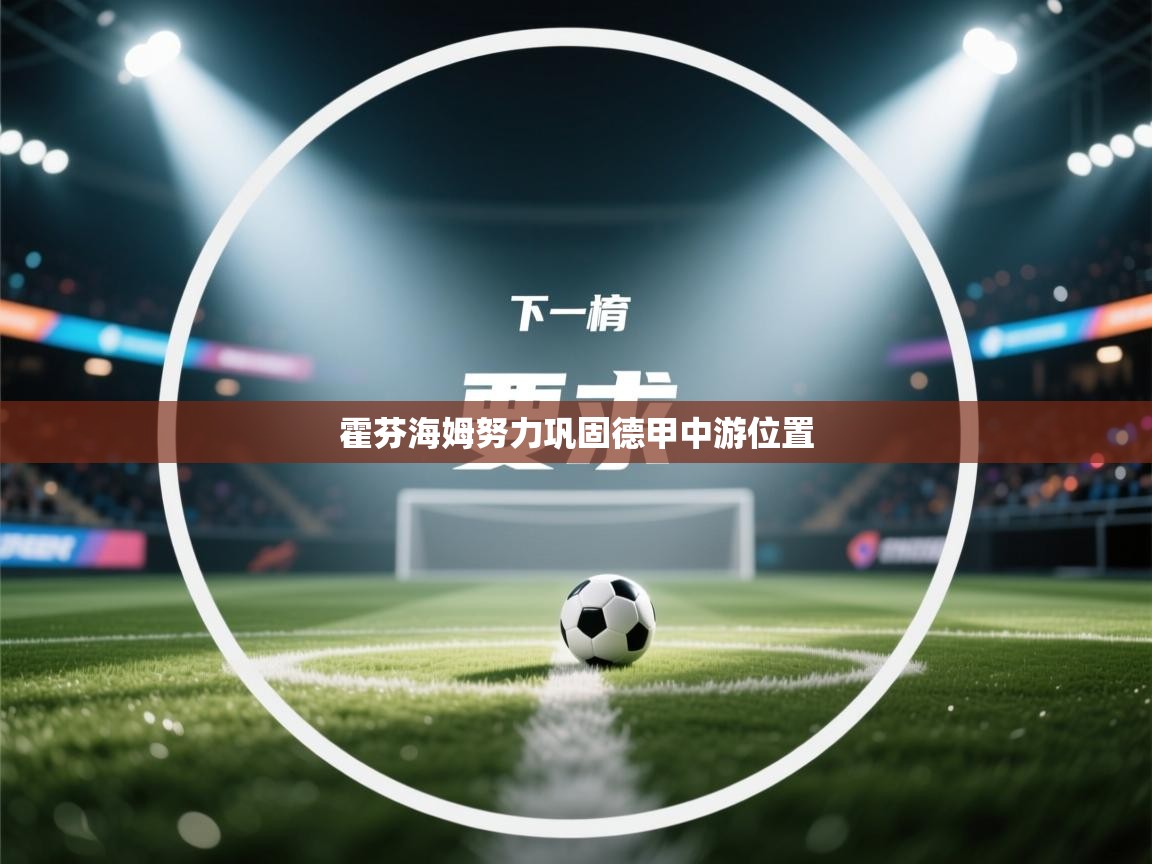 霍芬海姆努力巩固德甲中游位置  第2张